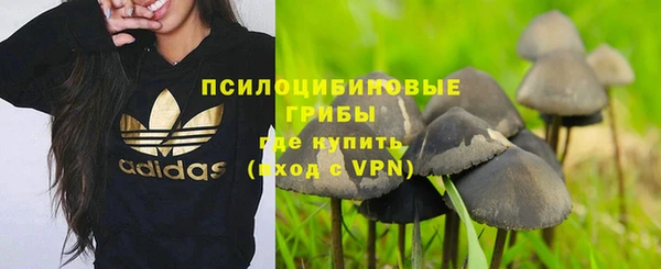 каннабис Богородицк