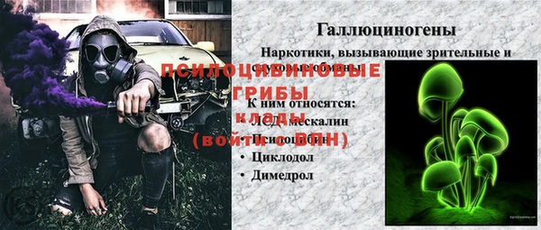 МДПВ Богородск