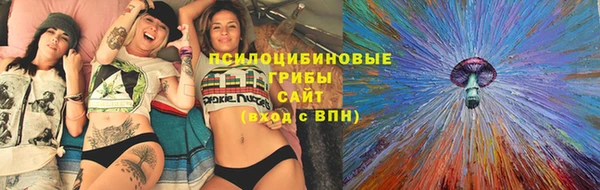 МДПВ Богородск