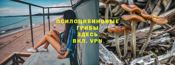 каннабис Богородицк